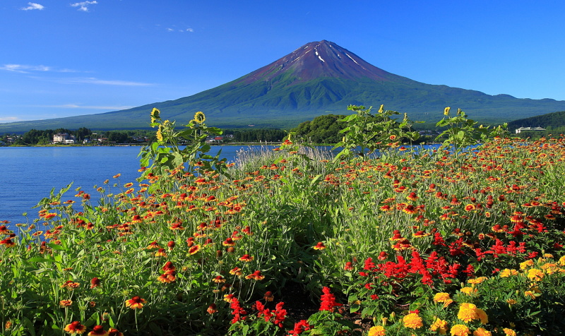 富士山画像作品