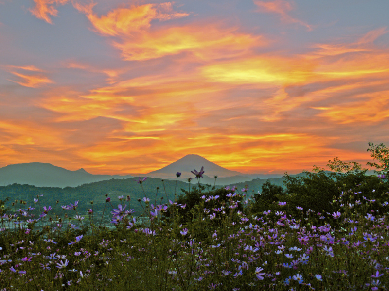 富士山画像記録