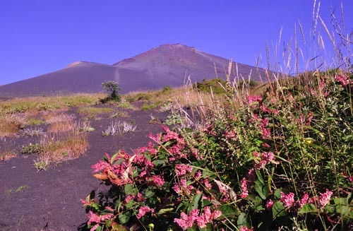 富士山画像作品