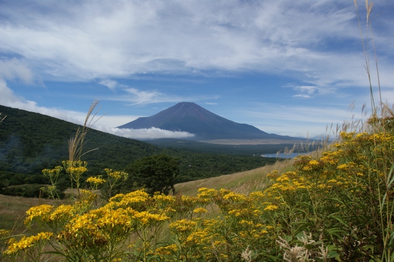 富士山画像記録