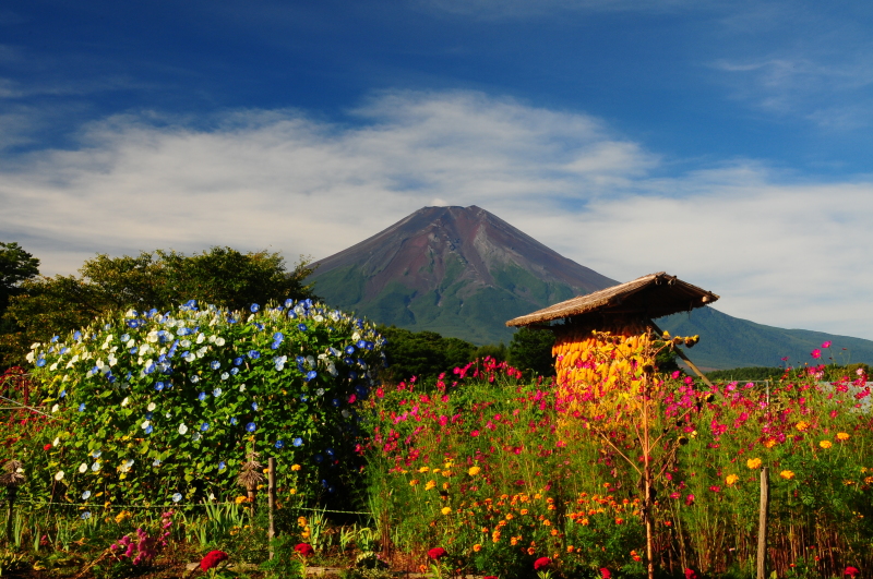 富士山画像記録