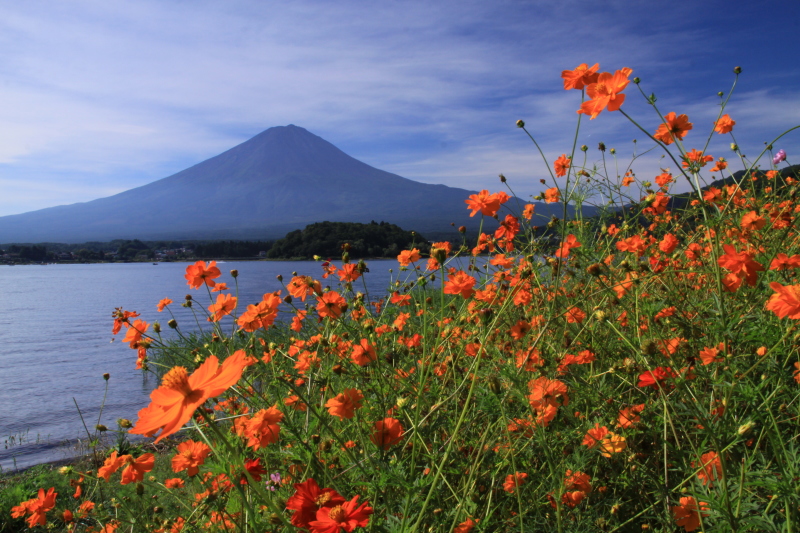 富士山画像記録