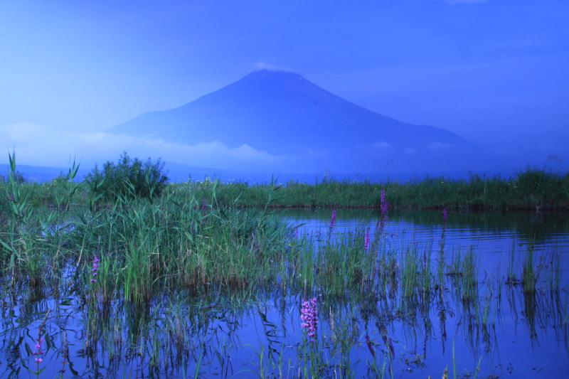 富士山画像記録