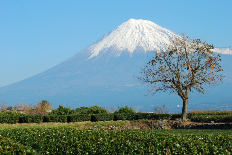 富士山画像記録