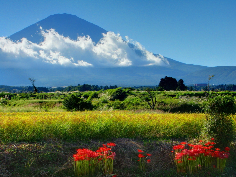 富士山画像作品