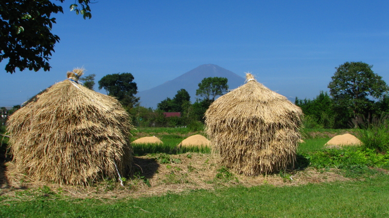 富士山画像作品