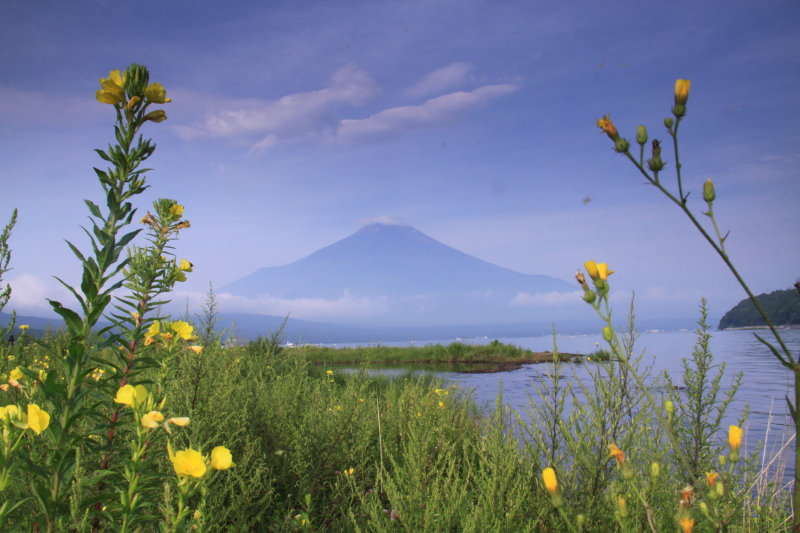 富士山画像記録