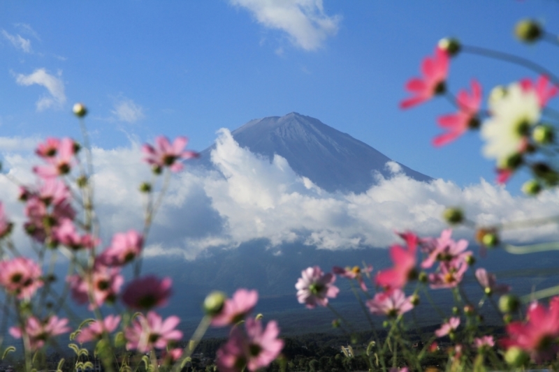 富士山画像作品