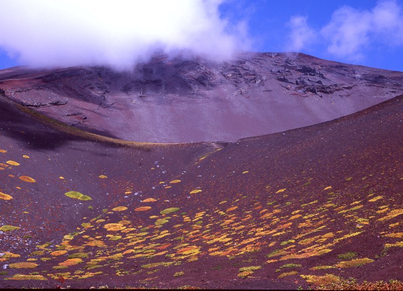 富士山画像作品