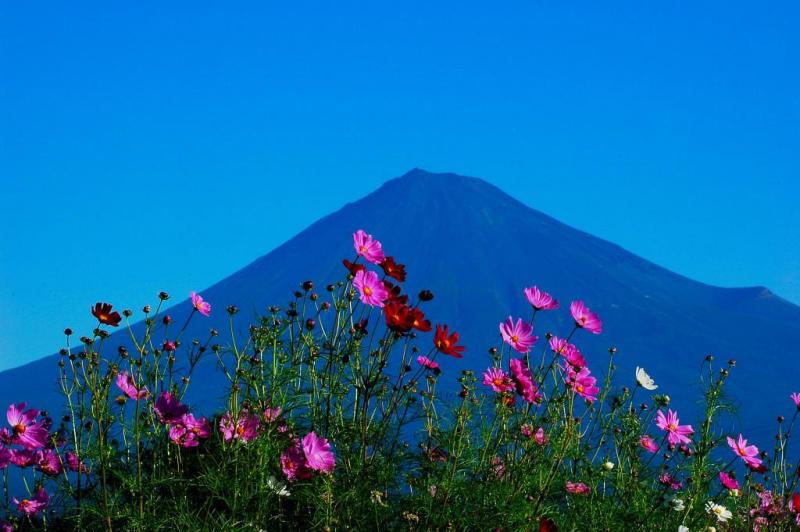 富士山画像記録