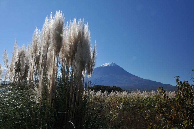 富士山画像作品