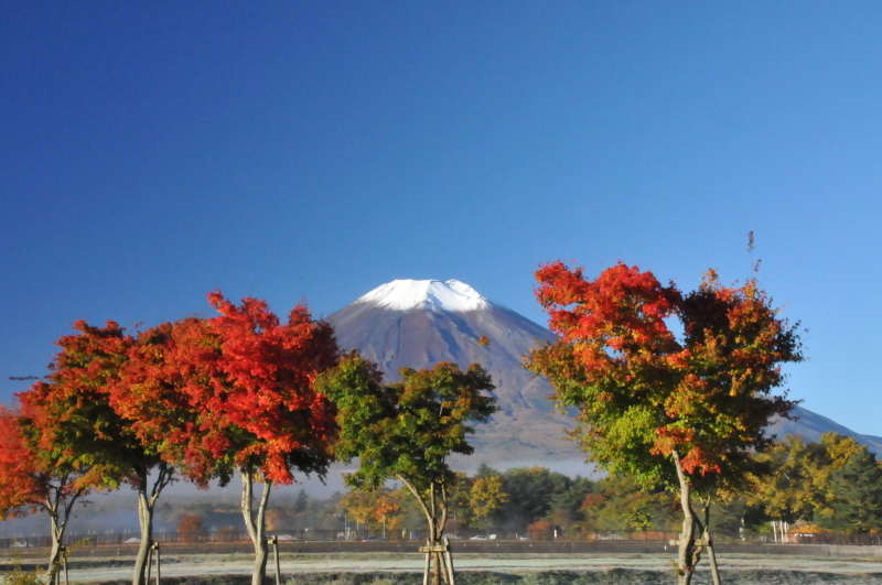 富士山画像記録