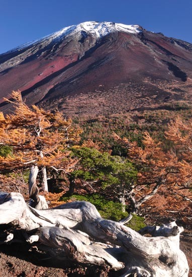 富士山画像作品