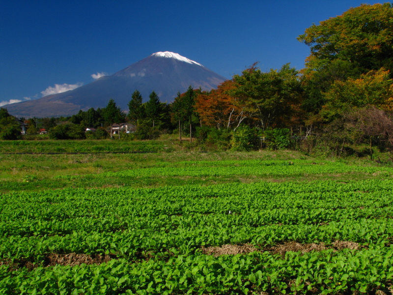 富士山画像作品