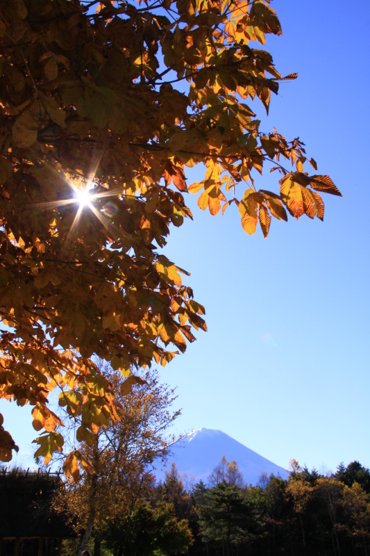 富士山画像記録