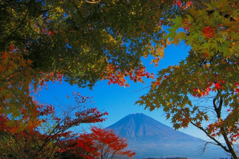 富士山画像作品