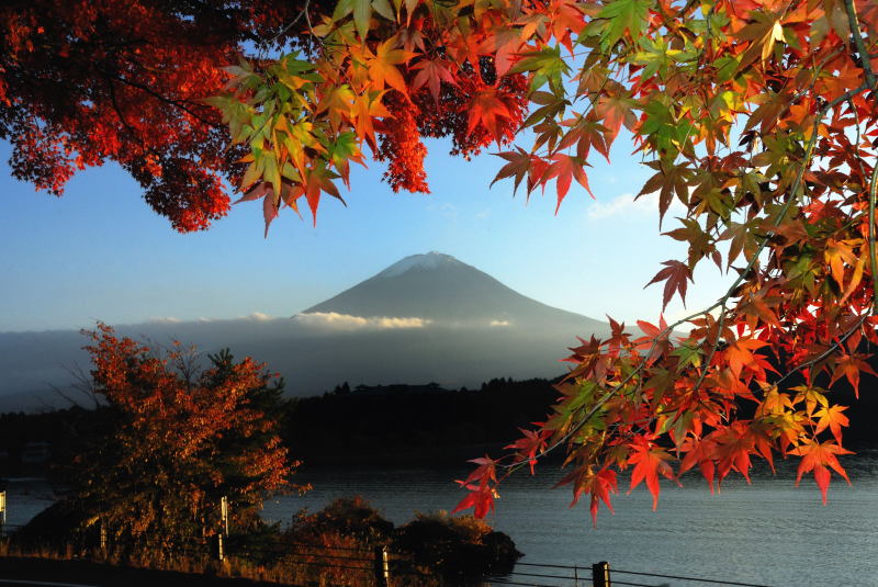 富士山画像記録