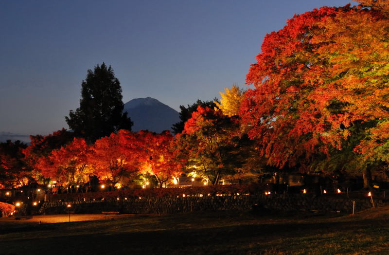 富士山画像記録