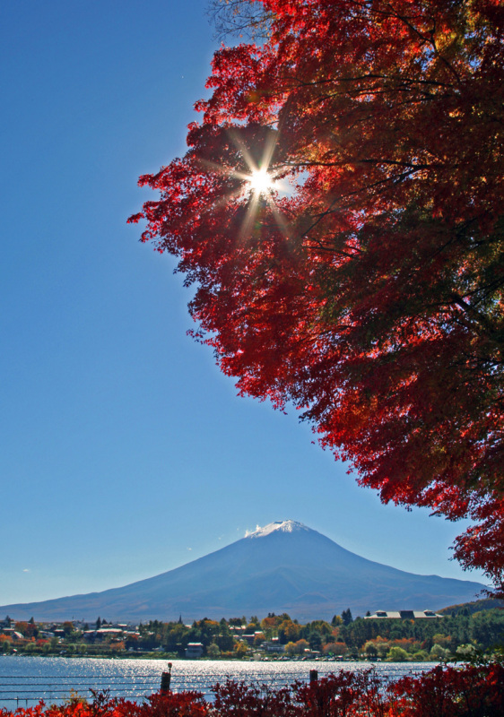 富士山画像作品