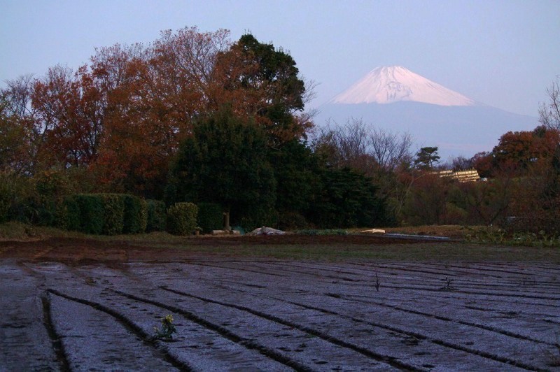 富士山画像作品