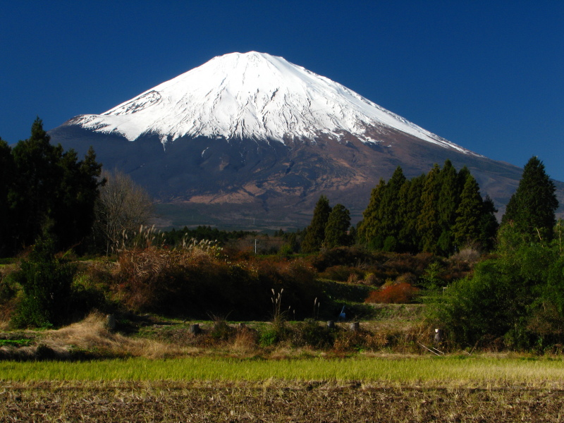 富士山画像作品