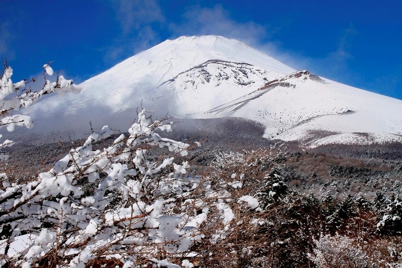 富士山画像作品