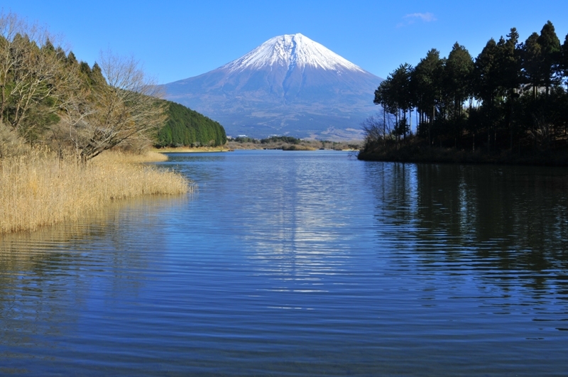 富士山画像作品