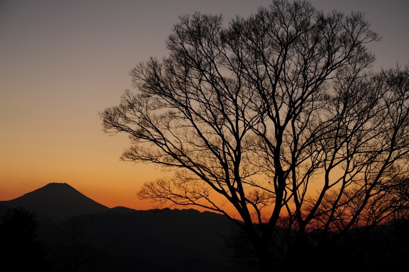 富士山画像作品