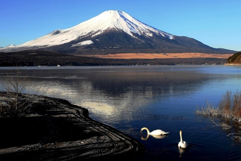 富士山画像作品