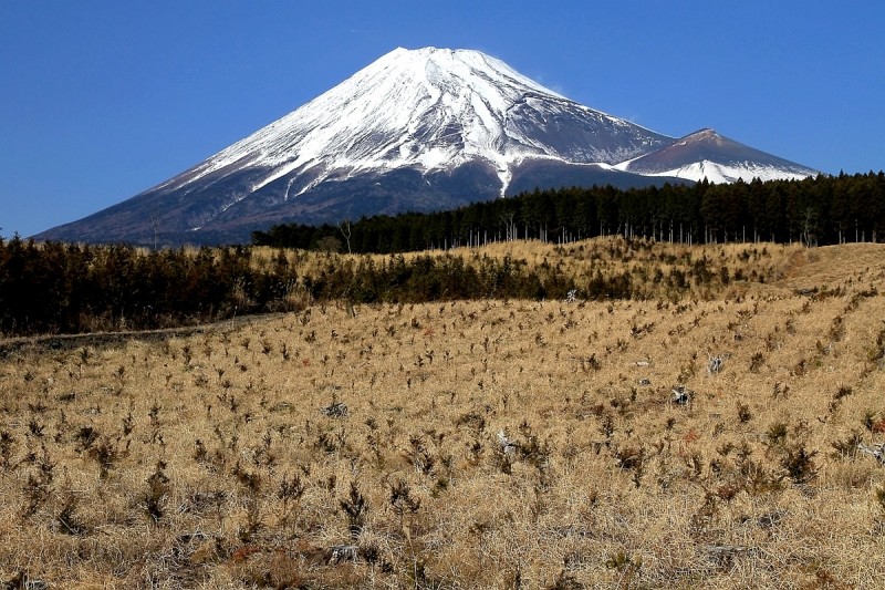 富士山画像作品