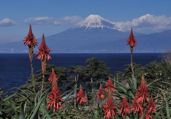 富士山画像作品