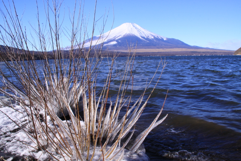 富士山画像記録