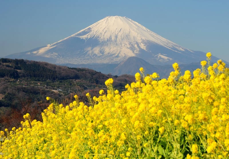 富士山画像作品