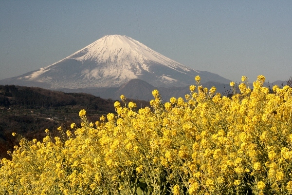 富士山画像作品