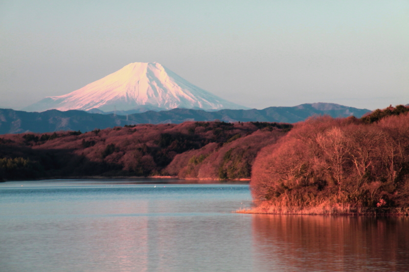 富士山画像記録