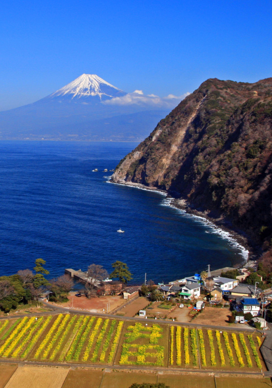 富士山画像作品