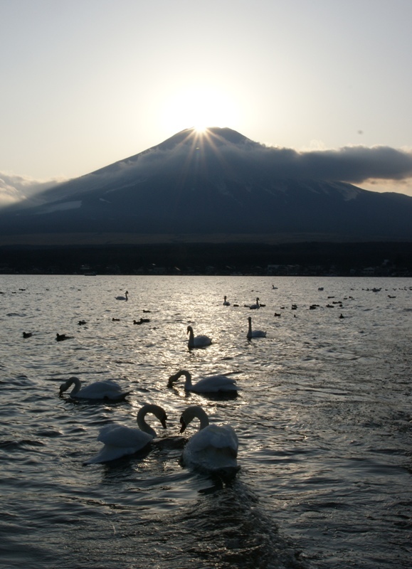 富士山画像記録