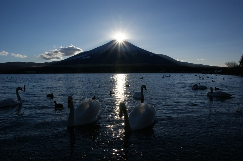 富士山画像記録