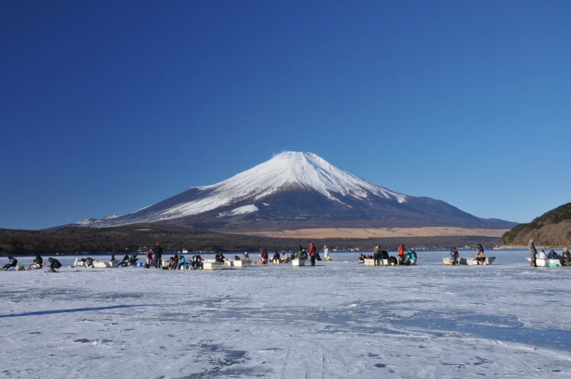 富士山画像記録