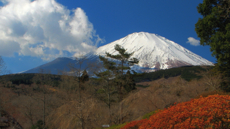 富士山画像作品