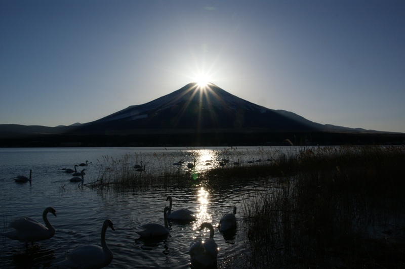 富士山画像記録