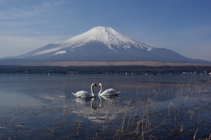 富士山画像作品