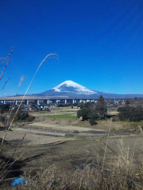 富士山画像作品