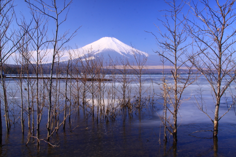 富士山画像作品