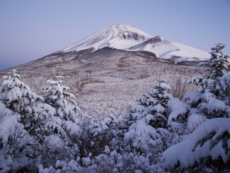 富士山画像作品