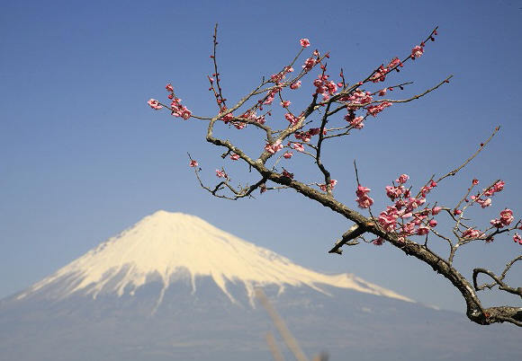 富士山画像記録