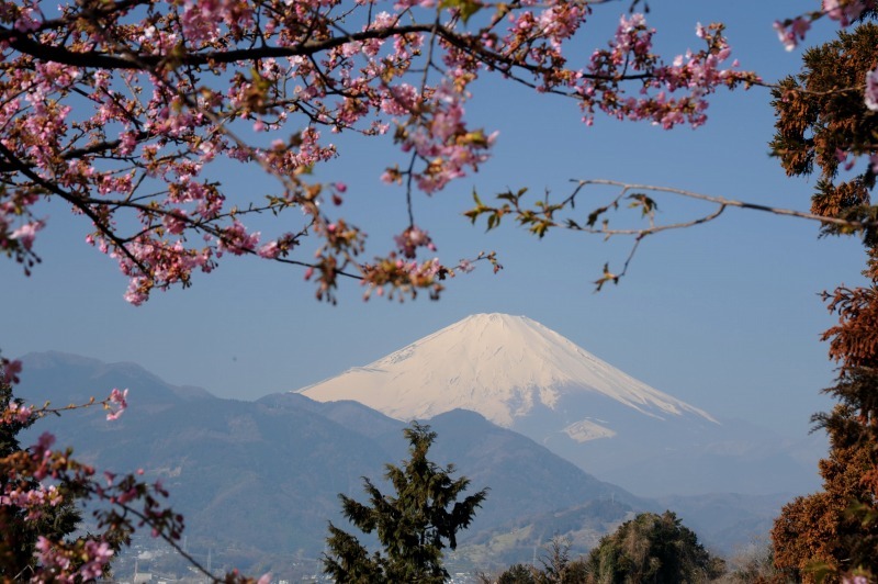 富士山画像作品