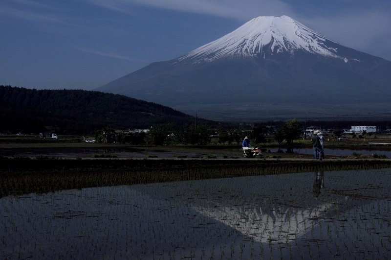 富士山画像記録