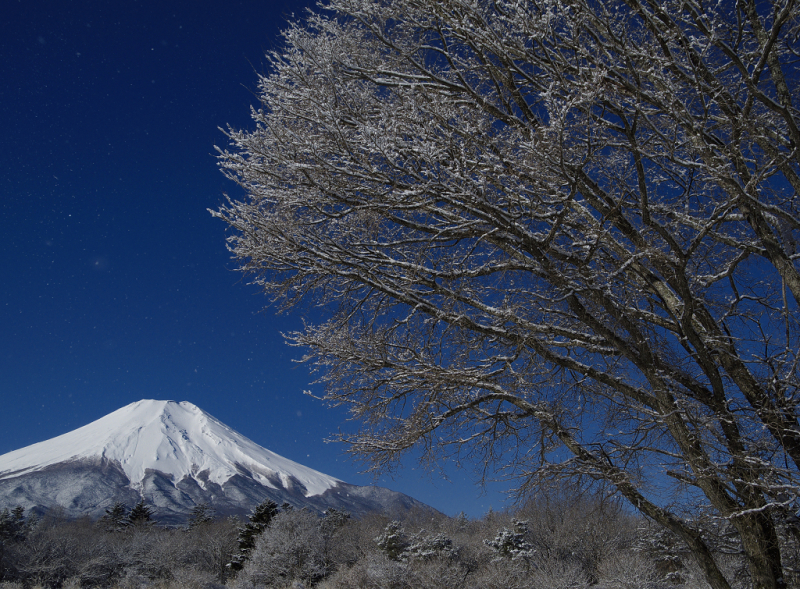 富士山画像作品