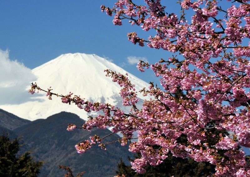 富士山画像作品